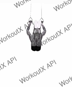 Suspension Trainer With Grips Hanging Straight Leg Hip Raise exercise demonstration