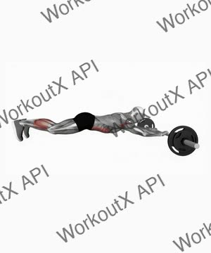 Barbell Rollout exercise demonstration