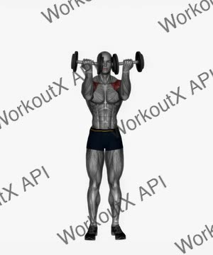 Standing Arnold Press Dumbbell exercise demonstration