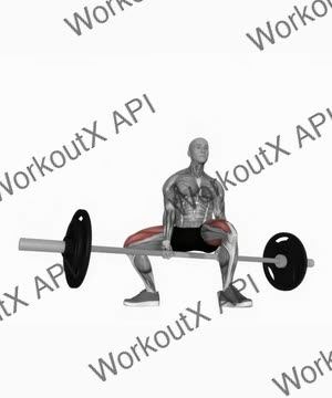Barbell Jefferson Squat exercise demonstration