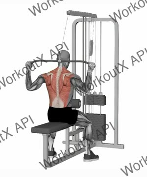 Behind Neck Lat Pull Down Machine exercise demonstration