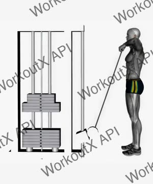 Cable Upright Row With Straight Bar exercise demonstration