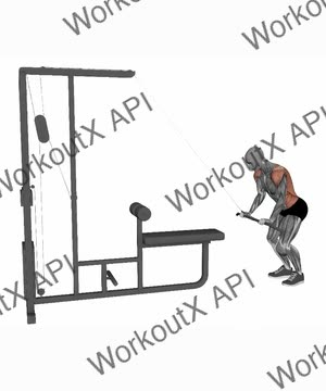 Straight Bar Cable Pull Down exercise demonstration