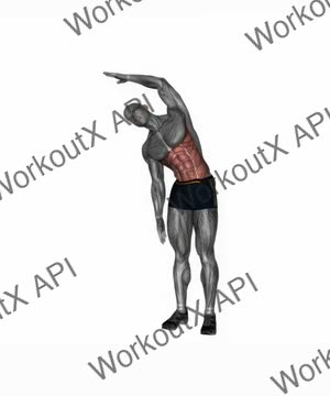 Standing Side Slope Stretch exercise demonstration