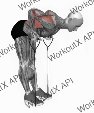 Band Bent-Over Row exercise demonstration