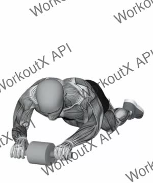 Ab Wheel Left Out exercise demonstration