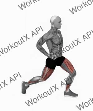 Bodyweight Rear Lunge exercise demonstration