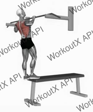 Bench Pull-Ups exercise demonstration