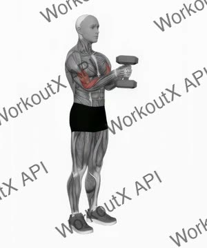 Dumbbell Waiter Biceps Curl exercise demonstration