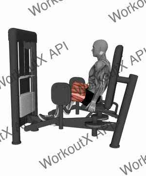 Seated Hip Abductor Machine (Variation 2) exercise demonstration