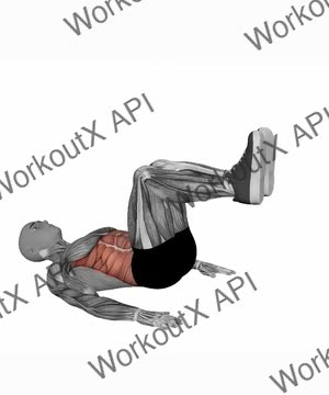 Reverse Crunch exercise demonstration