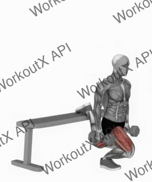 Dumbbell Bulgarian Split Squat exercise demonstration