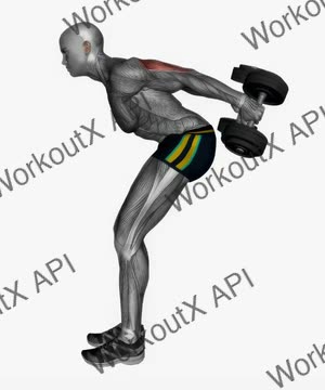 Dumbbells Triceps Kick Back Both Arms exercise demonstration