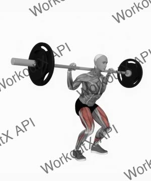 Barbell Quarter Squat exercise demonstration