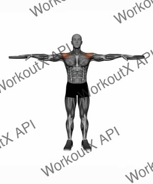 Plate Lateral Raise exercise demonstration