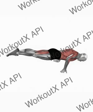 Full Planche Push Up exercise demonstration
