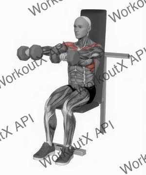 Dumbbell Seated Front Raise exercise demonstration