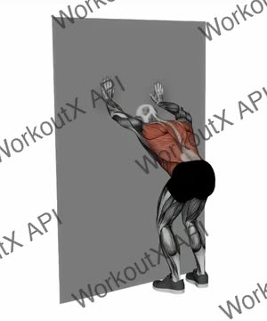 Lats Stretch on Wall exercise demonstration