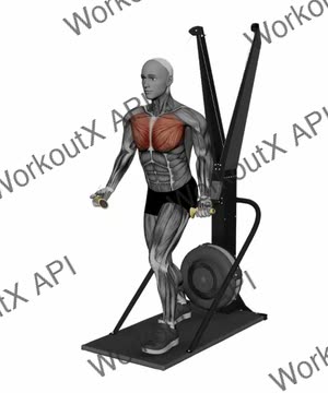 Ski Ergometer Cross Country Ski Flyes exercise demonstration