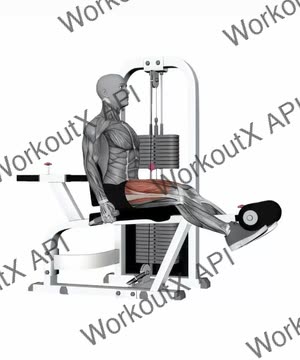 Seated Leg Extension_Both Legs exercise demonstration