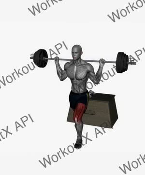 Barbell Bulgarian Split Squat Left Front-Back View exercise demonstration