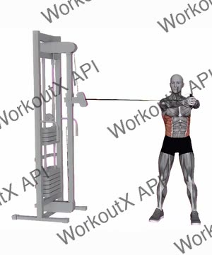 Standing Cable Oblique Twist exercise demonstration