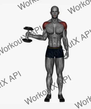 Dumbbell External Rotatio exercise demonstration