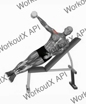 Dumbbell Incline One Arm Lateral Raise exercise demonstration