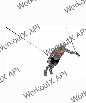 Suspension Trainer With Grips Chest Fly exercise demonstration