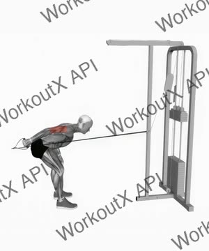 Cable Neutral Grip Kickback exercise demonstration