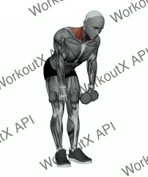 Dumbbell Silverback Shrug exercise demonstration