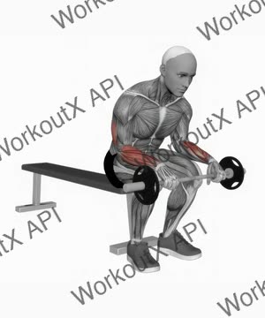Barbell Wrist Extension on Knees exercise demonstration
