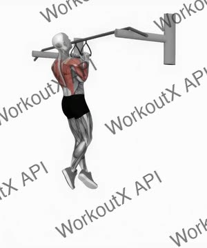 Chin Ups (Narrow Parallel Grip) exercise demonstration