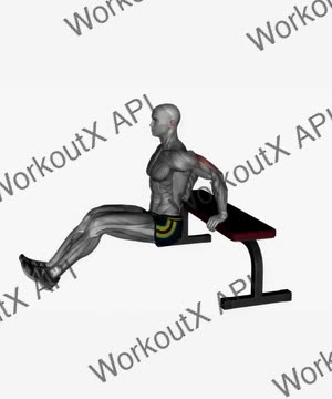 Bench Triceps Dip Leg Curls exercise demonstration