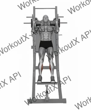 Calf Raise on Hack Squat Machine (Variation 2) exercise demonstration