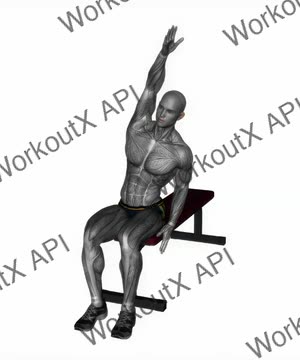 Seated Side Stretch exercise demonstration