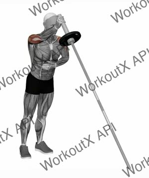 Landmine Single Arm Push Press exercise demonstration