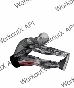 Seated Toe Touch Hamstrings Stretch exercise demonstration