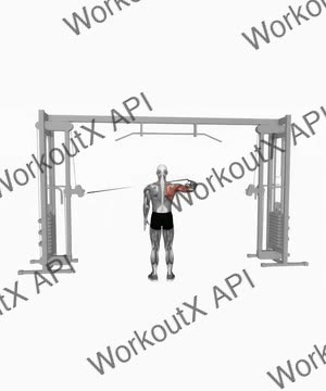 Cable Rear Drive Bent Arm exercise demonstration