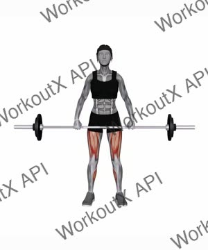 Barbell Deadlift (Front Pov) exercise demonstration