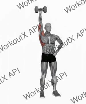 Dumbbell One Arm Shoulder Press (Version 2) exercise demonstration