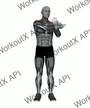 Cross Body Shoulder Stretch exercise demonstration