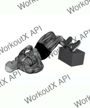 Dumbbell Feet Elevated Glute Bridge exercise demonstration