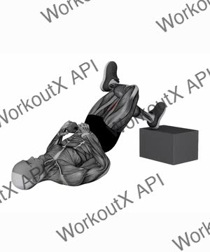 Dumbbell Feet Elevated Figure Four Glute Bridge exercise demonstration
