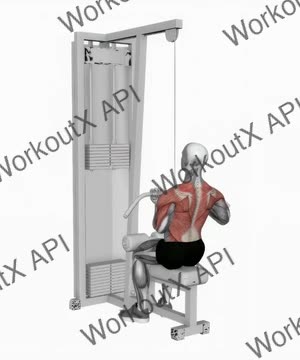 Cable Reverse Grip Straight Back Seated High Row exercise demonstration