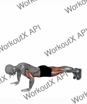 Push Up and Rotation exercise demonstration