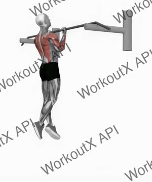 Chin Up exercise demonstration