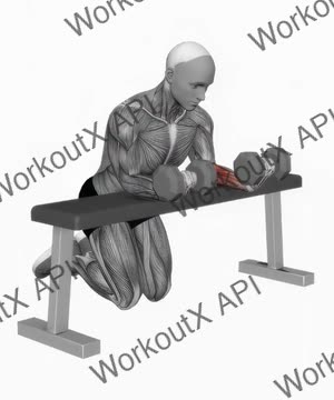 Dumbbell Over Bench Reverse Wrist Curl exercise demonstration