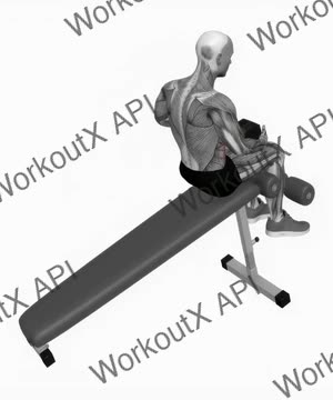 Dumbbell Decline Sit-Up exercise demonstration
