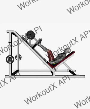 Leg Press Wide High Stance exercise demonstration